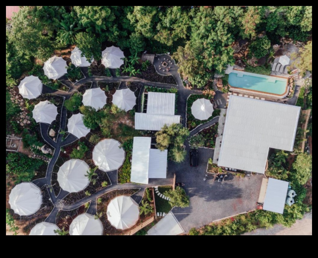 Roost Reverie — grezna māja prom no mājām 2 Roost Reverie: izveidojiet savu ideālo ligzdu prom no mājām