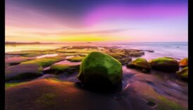 DIY fotogrāfiju rediģēšanas stili: vintage, moderns un citi