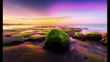 DIY fotogrāfiju rediģēšanas stili: vintage, moderns un citi