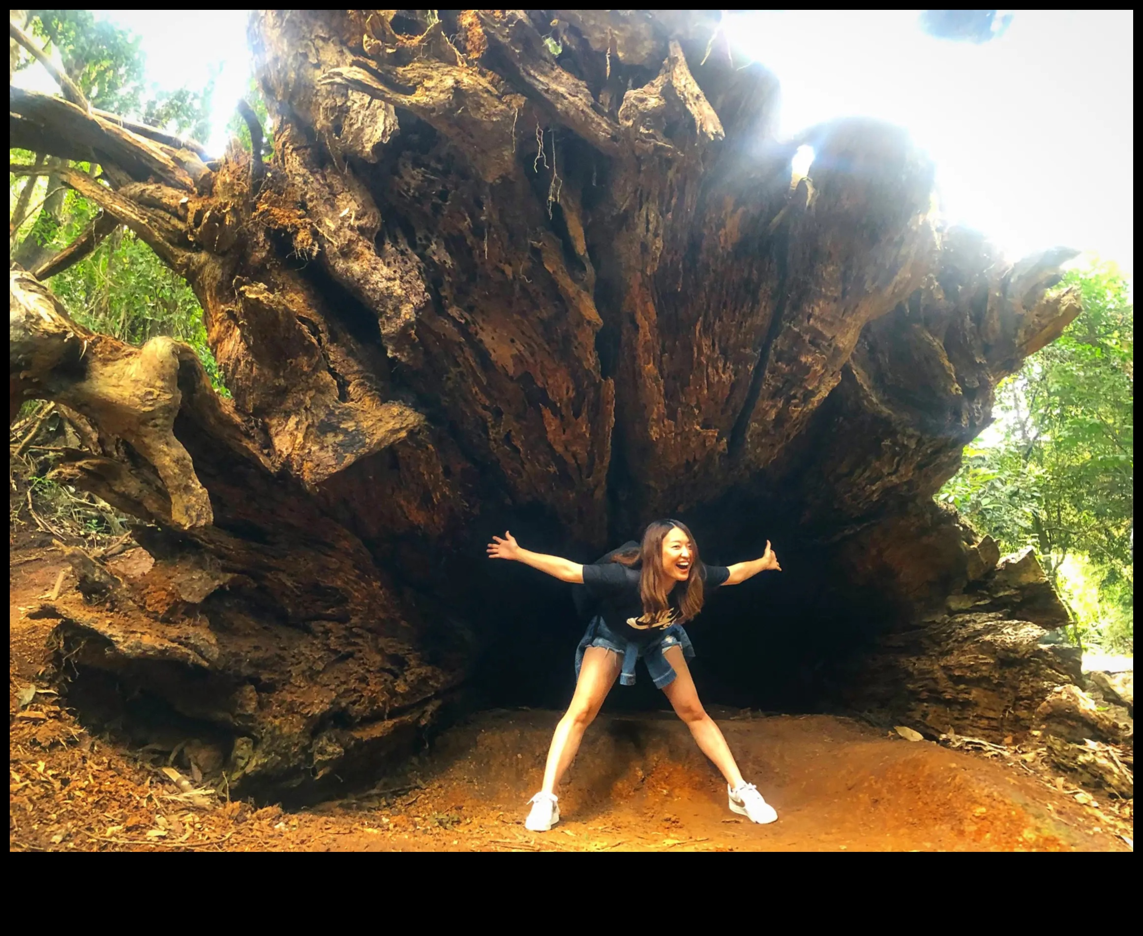 Elpu aizraujoši skati: apskates objekta dārgumu krātuve