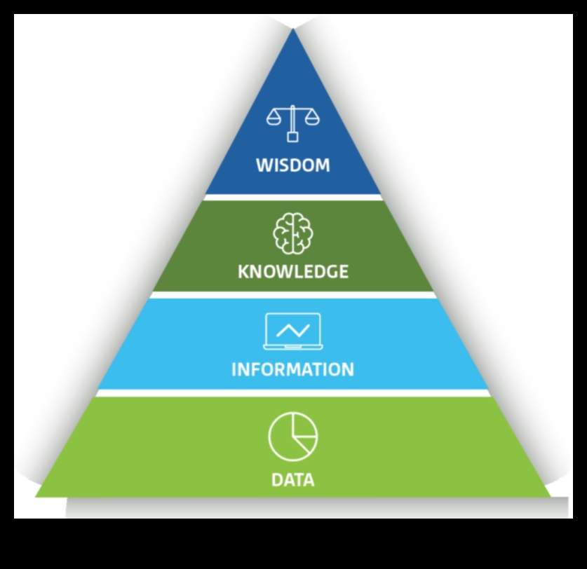 Datu gudrības attīstīšana: stratēģiskās biznesa analīzes spēks