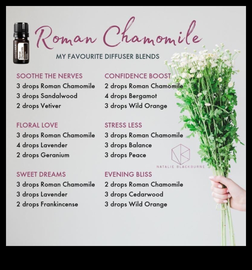 Kumelīšu eliksīri. Ceļvedis ideālu relaksējošu maisījumu izveidei 4 Kumelīšu eliksīri: ceļvedis ideālu relaksējošu maisījumu izveidei