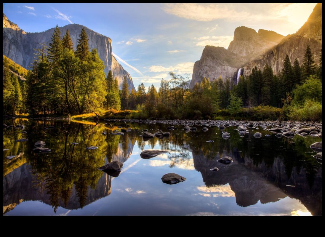 Eyes on Elegance: Acering Sightseer's Guide