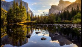 Eyes on Elegance: Acering Sightseer's Guide