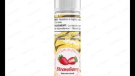 Šķidruma baudīšana: izbaudiet svaigu augļu sulu greznās garšas