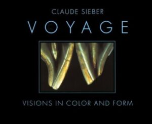 Reisa vīzijas: vīzijas pieejas izveide ceļošanai